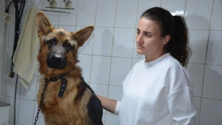 2,5 ay önce kaybolan köpeğini mikroçip sayesinde buldu