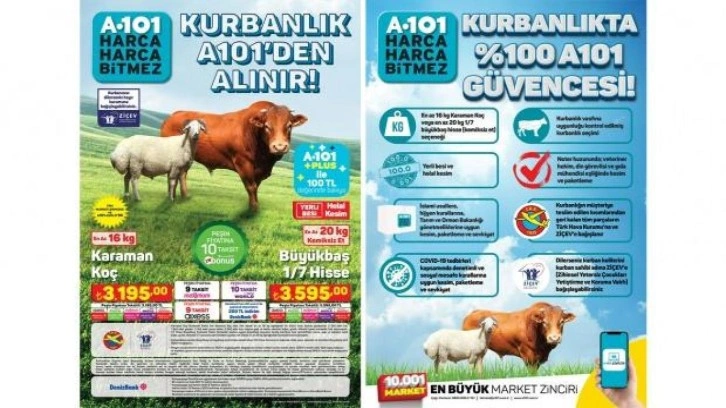 A101 kurbanlık fiyatları belli oldu! 2022 büyükbaş ve küçükbaş kurbanlık ne kadar?