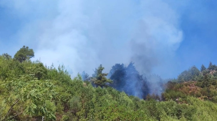 Adana'da orman yangını