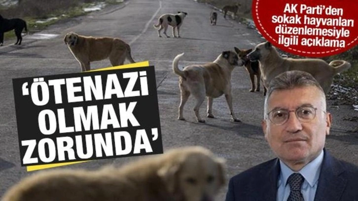AK Parti'den sokak hayvanları düzenlemesiyle ilgili yeni açıklama: Ötenazi olmak zorunda