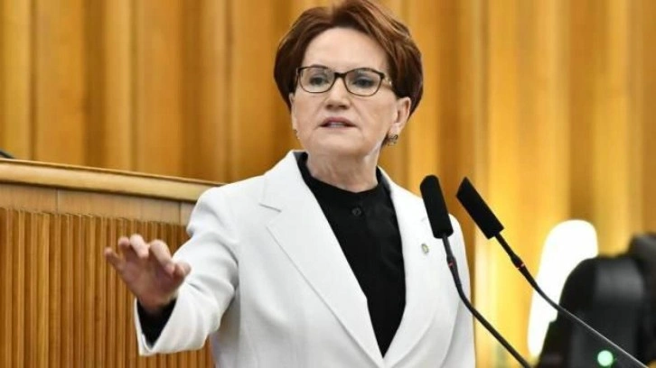 Akşener'den göç mevzuatına çağrı var, partisinden teklif yok