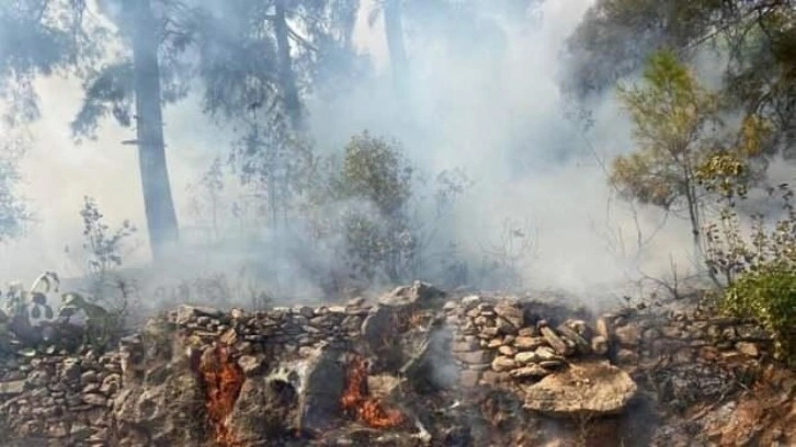 Alanya'da çıkan orman yangınına müdahale ediliyor