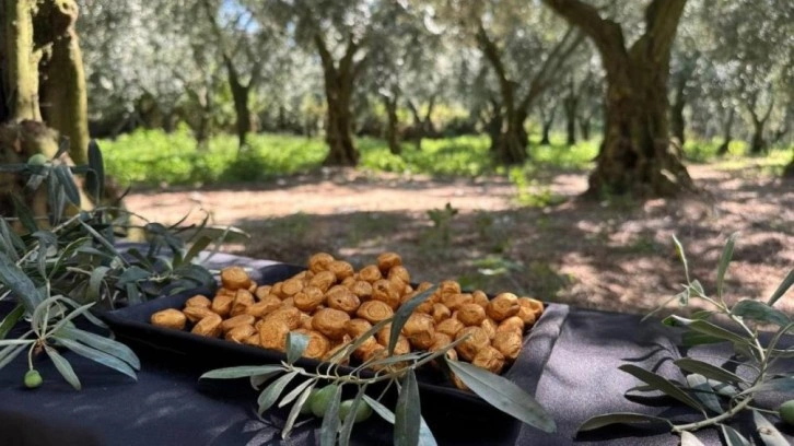 Altın kaplamalı zeytin yok satıyor