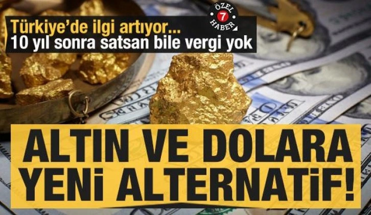 Altın ve dolar yeni alternatif! Yatırım fonu nedir?