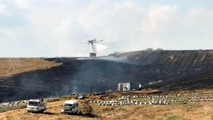 Anız yangını arı kovanlarına zarar verdi