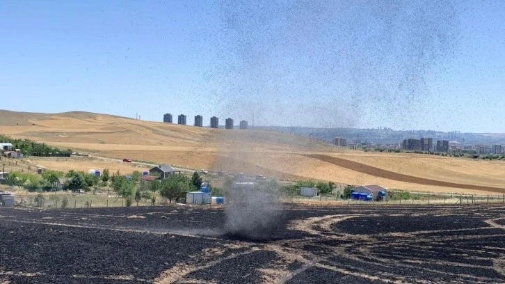 Ankara'da ekili 100 dönüm buğday ve arpa yandı