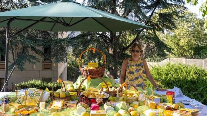 Ankara'da "Mango Festivali" etkinliği yapıldı