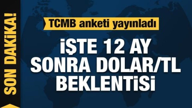 Anket açıklandı: 12 ay sonra dolar kuru beklentisi 23,61 TL