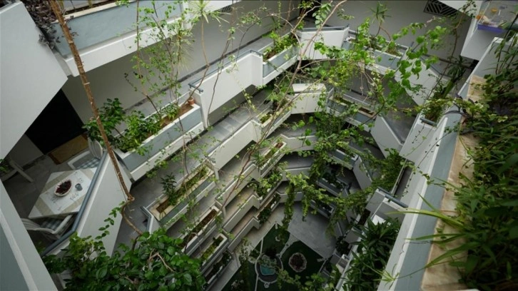 Apartmanın avlusunu 30 yılda botanik bahçesine çevirdiler