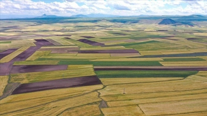 Arazi toplulaştırması ve tarla içi geliştirme çalışması yapılacak