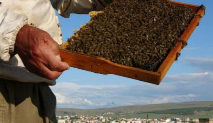 Arıcılık sektörü ve Türkşeker'le ilgili bakanlıktan açıklama