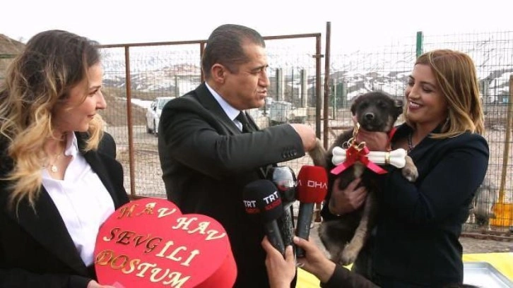 Aydı Aydın köpeklere türkü yaptı, madalya takarak vefa borcunu ödedi