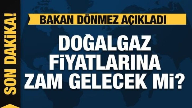 Bakan Dönmez: Aralıkta doğalgaza zam yok