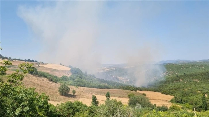 Balıkesir'de çıkan orman yangınına karadan ve havadan müdahale ediliyor