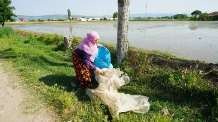 Balıkesir'de her 500 kilogram tarla atığı karşılığında bir kuzu verilecek