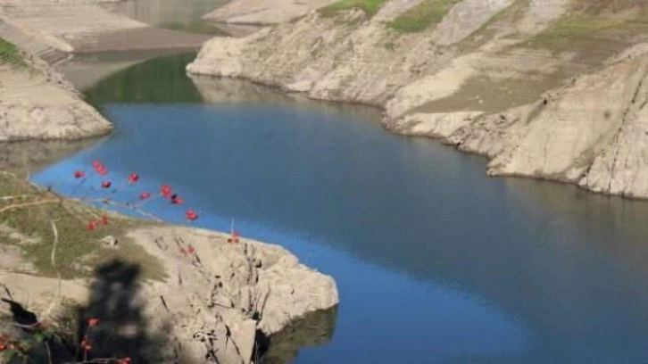 Barajlarda su seviyesi azaldı! Alarm zilleri çalıyor