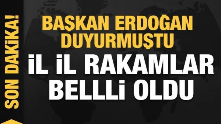 Başkan Erdoğan duyurmuştu! Arsa ve iş yeri projesinde il il rakamlar belli oldu