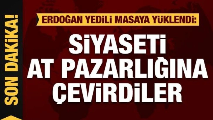 Başkan Erdoğan: Siyaseti at pazarlığına çevirdiler