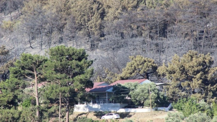 Belen'de dün çıkan orman yangınına müdahale sürüyor