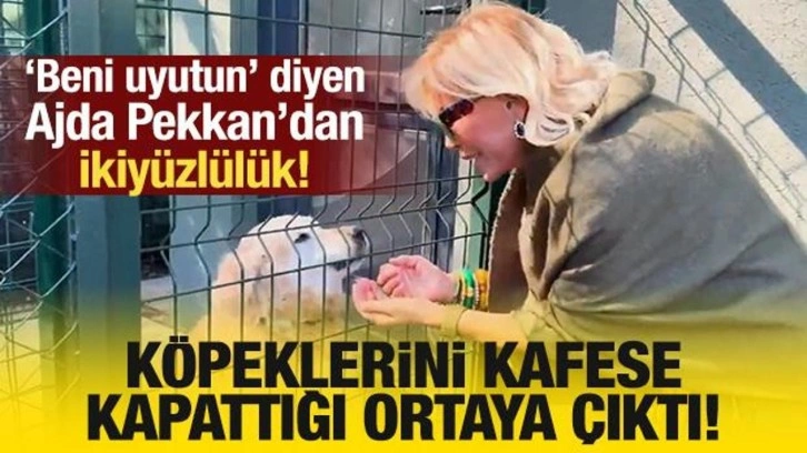 'Beni de uyutun' diyen Ajda Pekkan'ın köpeklerini kafese kapattığı ortaya çıktı!