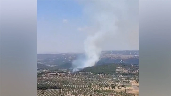 Bergama'da orman yangını çıktı