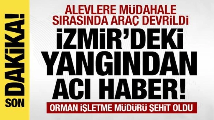 Bergama'daki orman yangınından acı haber geldi: Orman İşletme Müdürü şehit oldu!