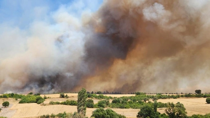 Beş ilde orman yangını: Bergama’dan acı haber, İzmir'e uçak seferleri aksadı