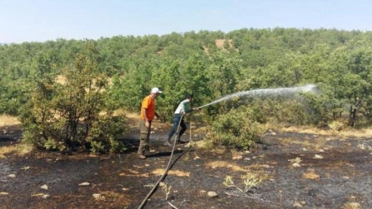 Bingöl’de çıkan orman yangını söndürüldü