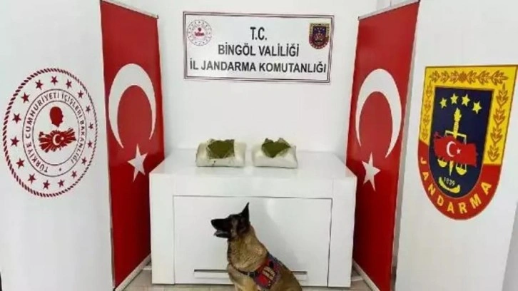 Bingöl'de uyuşturucu operasyonu