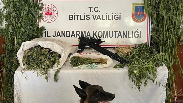 Bitlis'te uyuşturucu operasyonunda 3 gözaltı