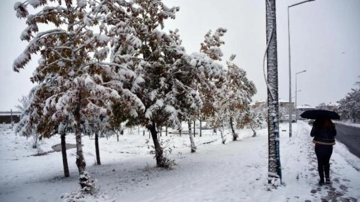 Bitlis'in yüksek kesimlerinde kar kalınlığı 30 santimetre oldu