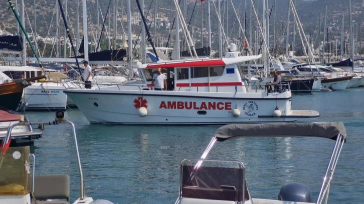 Bodrum'da arının soktuğu iş adamı hayatını kaybetti