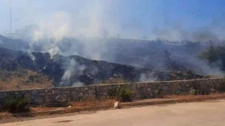 Bodrum'da makilik alanda çıkan yangın söndürüldü