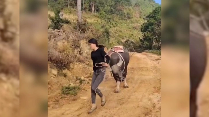 Boğanın sahibiyle koşup oynadığı anlar görenleri gülümsetti. O anlar kameraya böyle yansıdı