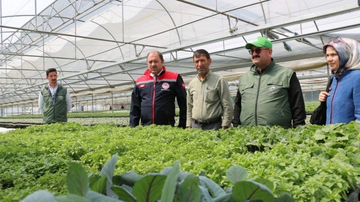 Bölgenin fidesi Erzincan’dan