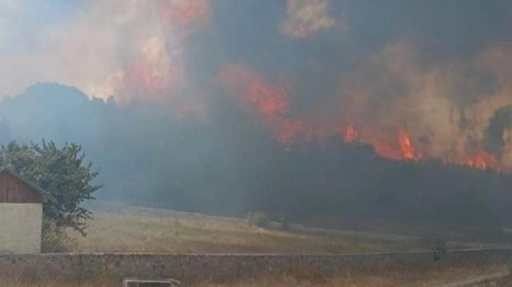 Bolu'da orman yangını! Çok sayıda ekip sevk edildi