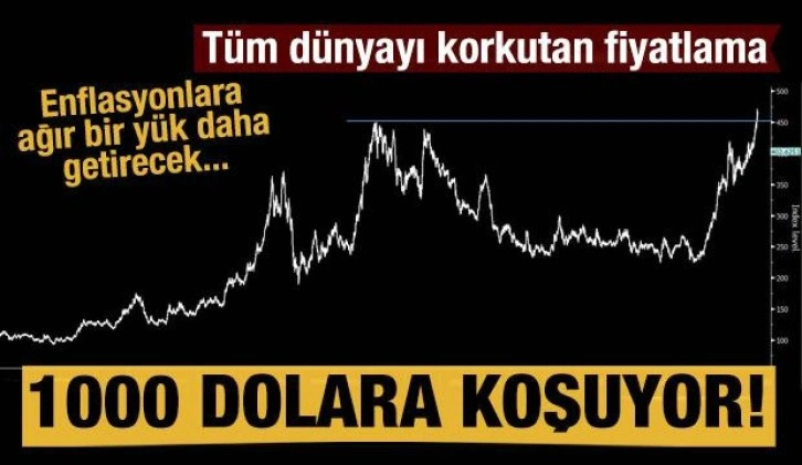 Buğday fiyatı 1000 dolara koşuyor! Dünyayı korkutan fiyatlama