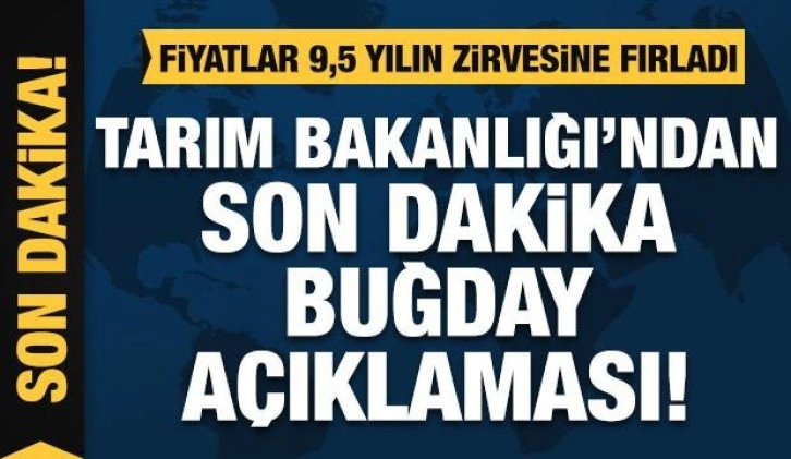 Buğday fiyatları 9,5 yılın zirvesine fırladı! Tarım Bakanlığı'ndan son dakika buğday açıklaması