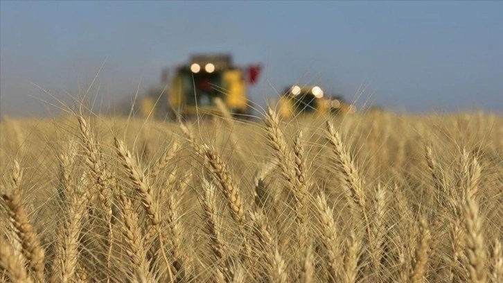 Bulgaristan da Ukrayna'dan tahıl ithalatını yasakladı