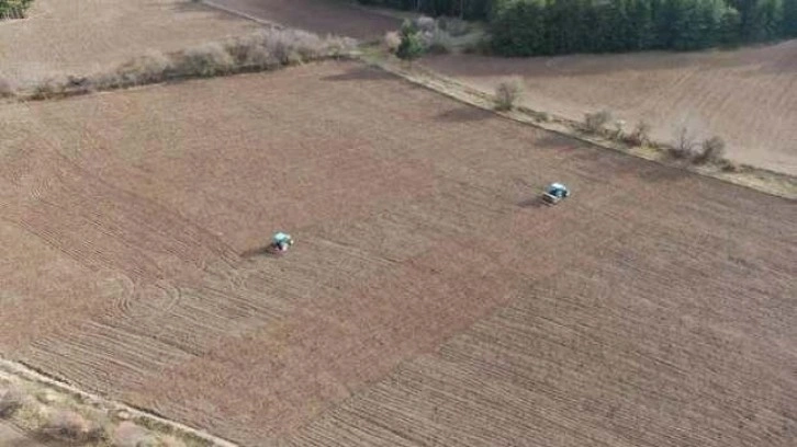 ‘Bulgurun atası’ siyezin ekimine başlandı