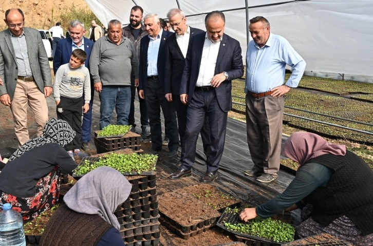 Bursa’nın çiçekleri, dağ bölgesinde açıyor