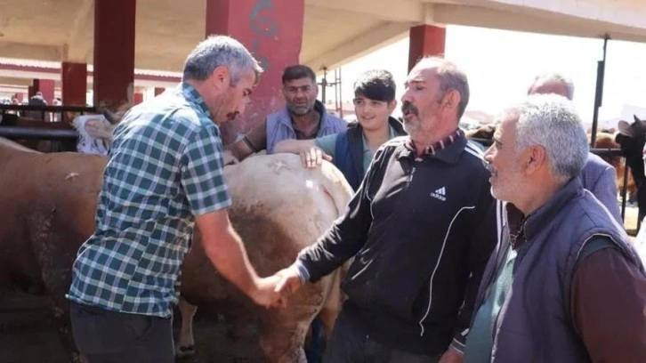 Büyük şehirlerin kurbanlığı Ağrı'dan