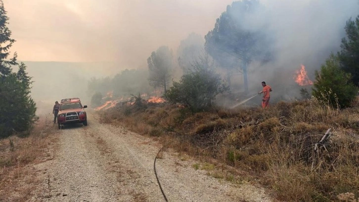 Çanakkale'de ormanlık alanda yangın!