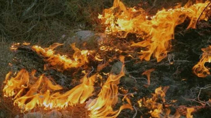 Çanakkale'de kaza yapan araç orman yangınına neden oldu