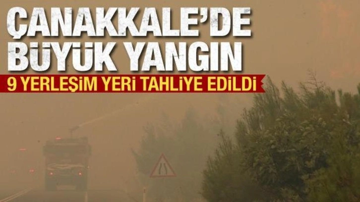 Çanakkale'de orman yangını! Bakan Yumaklı'dan açıklama