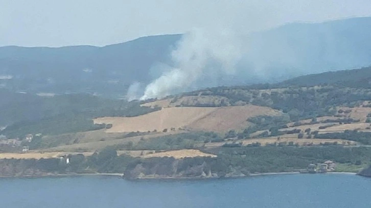 Çanakkale'de orman yangını! Havadan ve karadan müdahale ediliyor