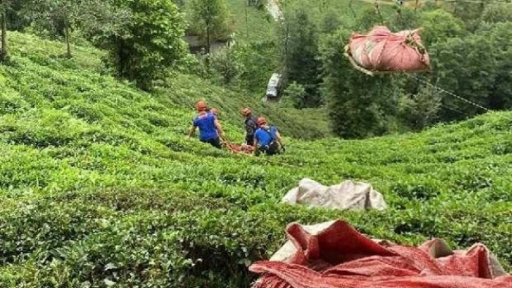 Çay hasadında, teleferik sepetinin çarpmasıyla yaralandı