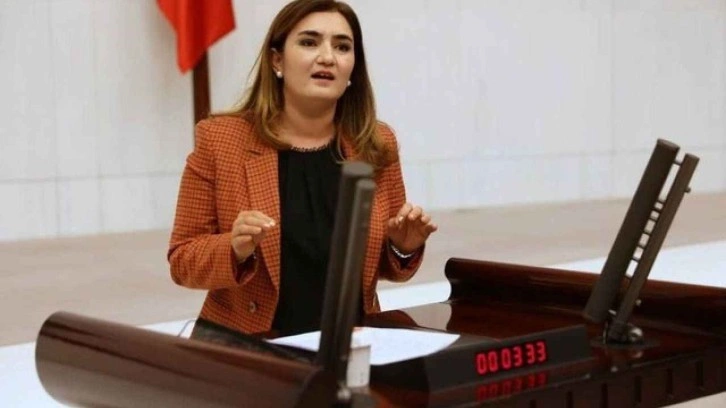 CHP'li vekilden Erdoğan'ın sözlerine dava: Şirazesi kaymış...