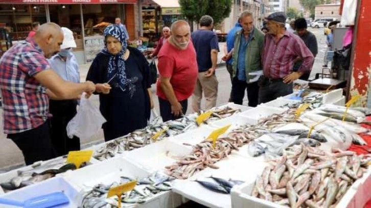 Çinekop tezgahlarda, gözler hala palamutta