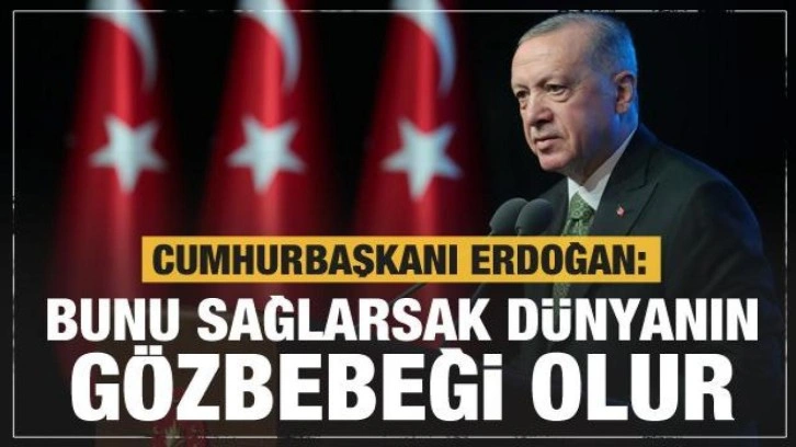 Cumhurbaşkanı Erdoğan: Bunu sağlarsak dünyanın gözbebeği olur